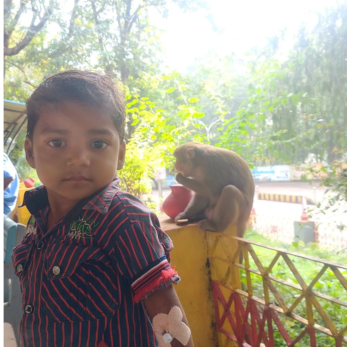 Sanju karma