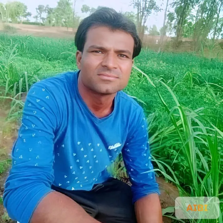 HAMID SHEKH