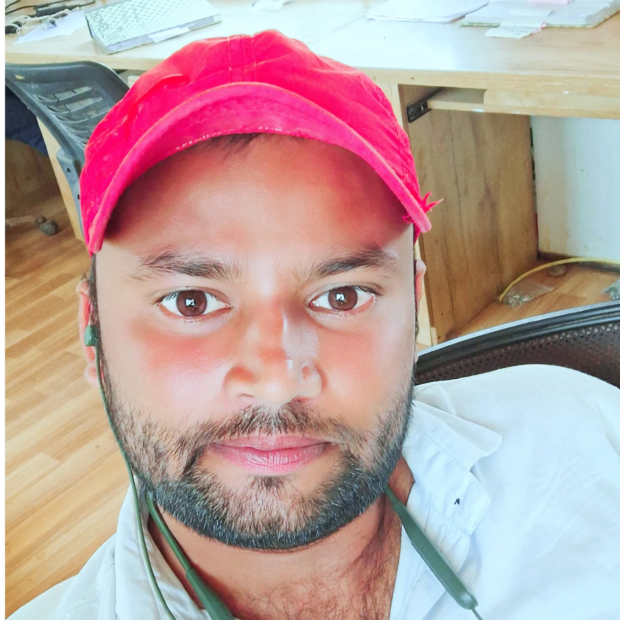 Ravi Chauhan