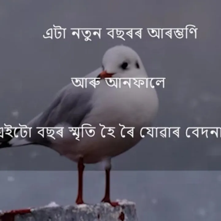Mousam Neog