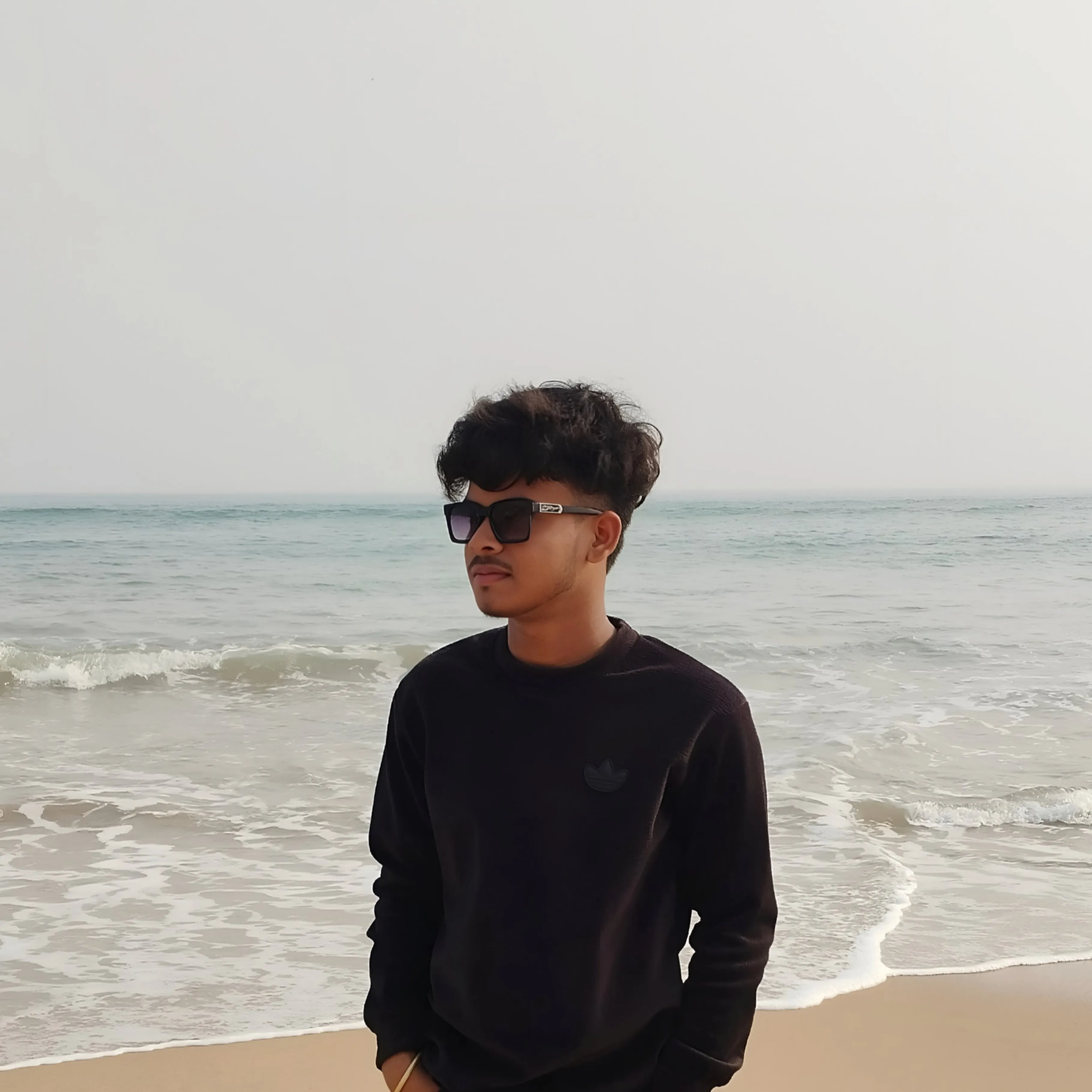 raj biswas