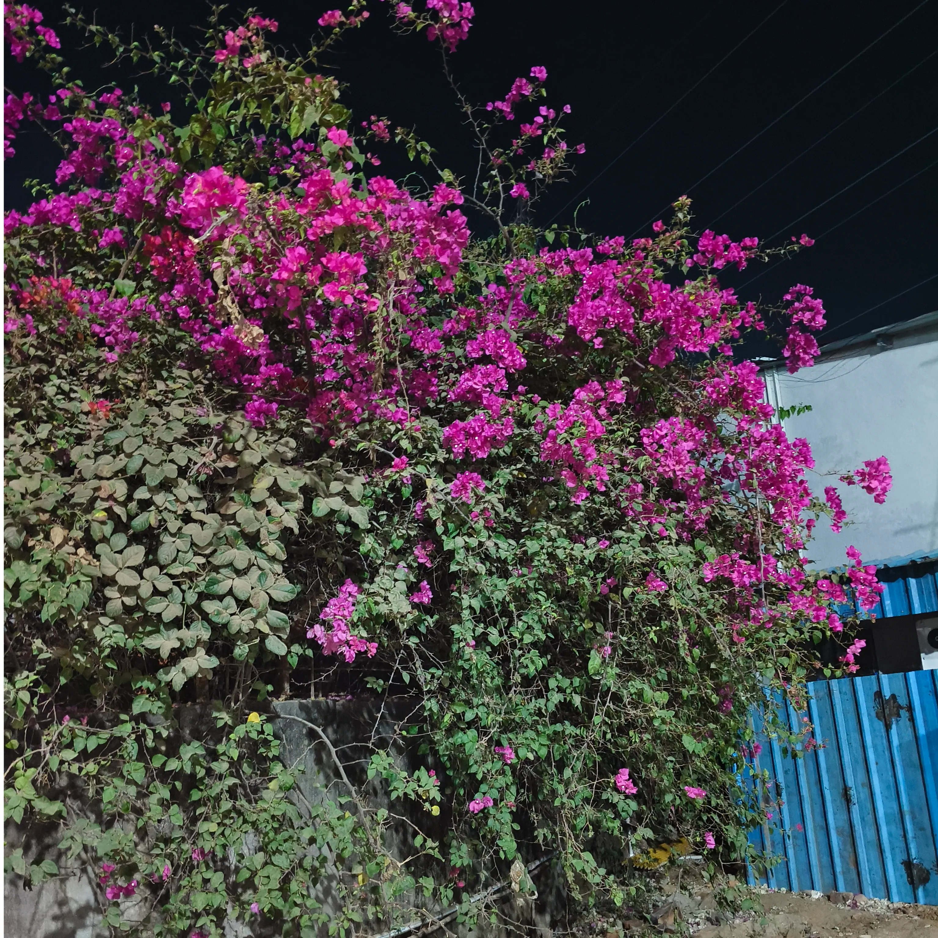 Randhir Babu
