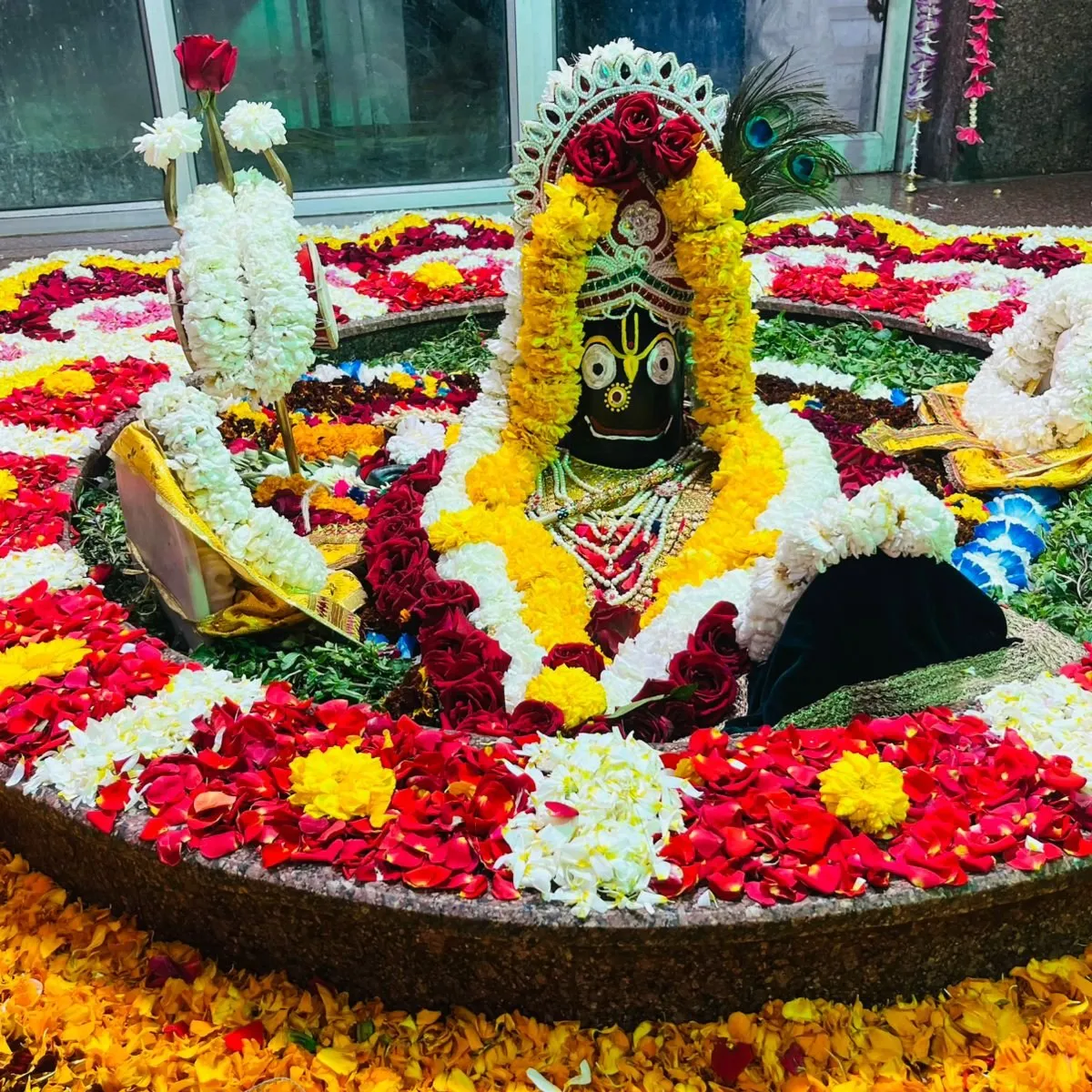 Arya Ji