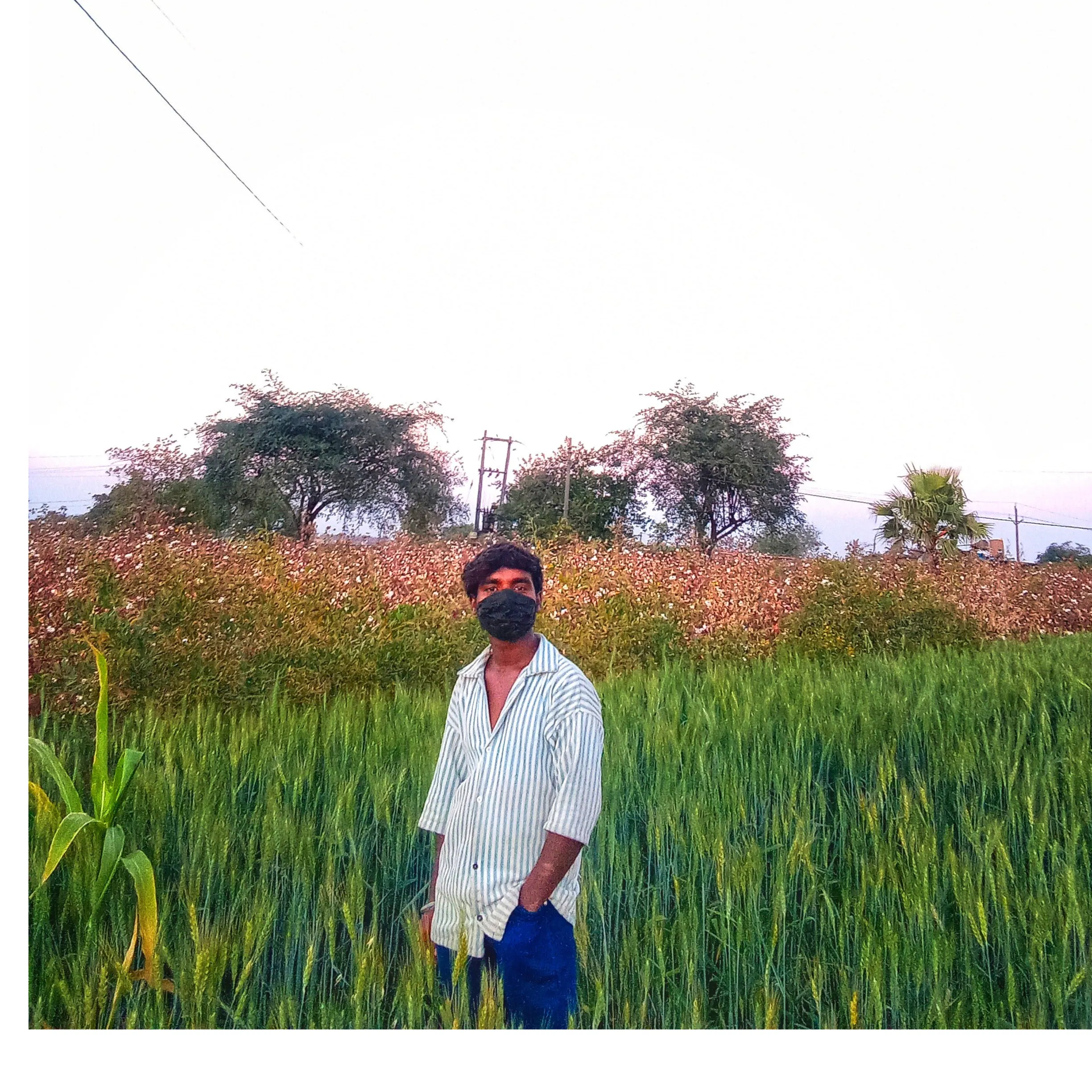 arvind Singers