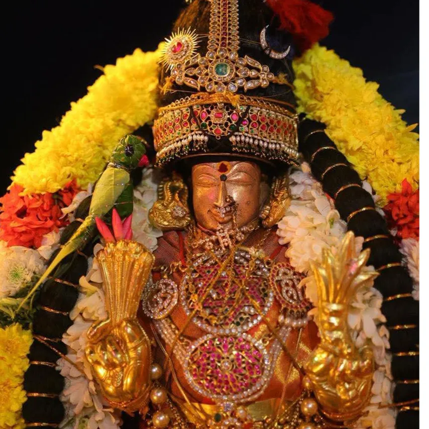 Kamatchi Kamatchi