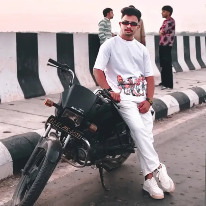 VISHAL MEENA