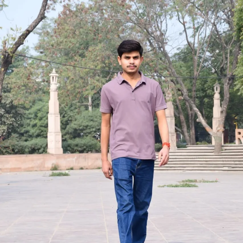 Rajiv meena