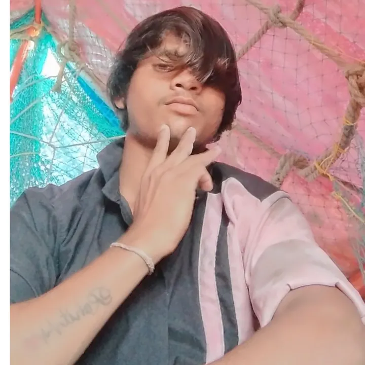 Rohit Palava