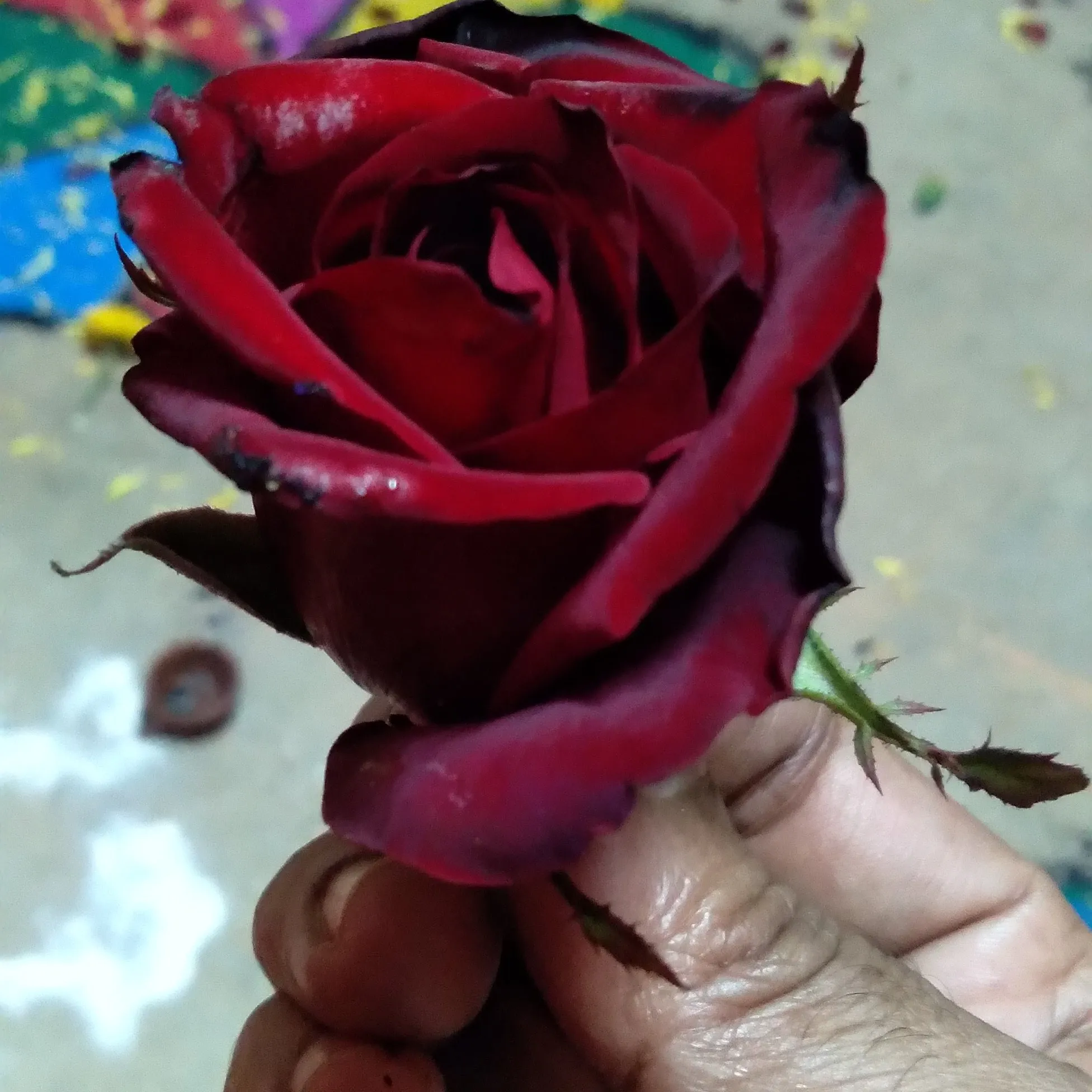 Rohit sing