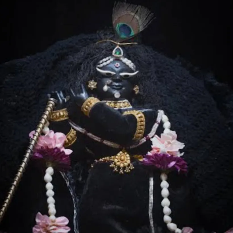 ajay brijwasi