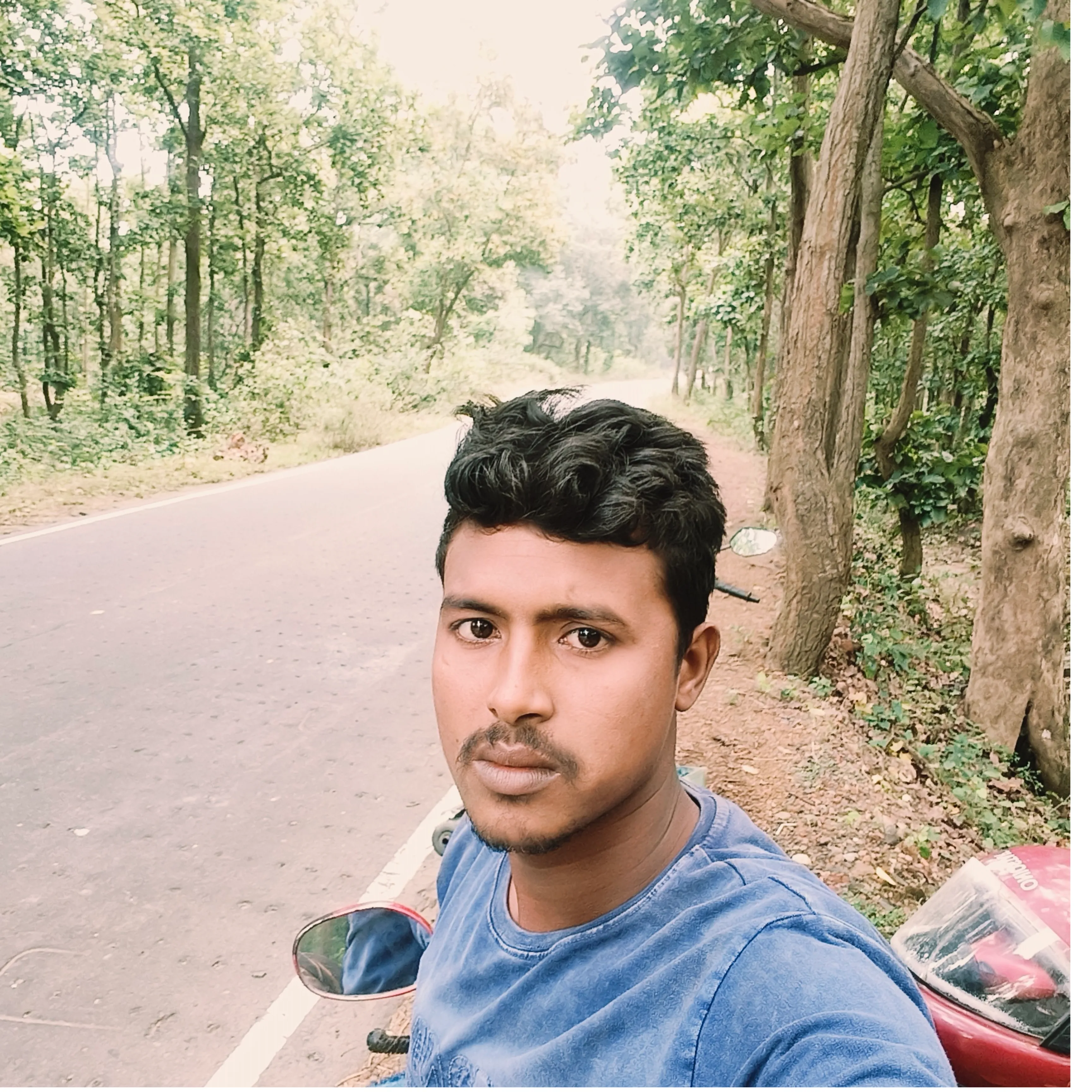 Ailm Sk