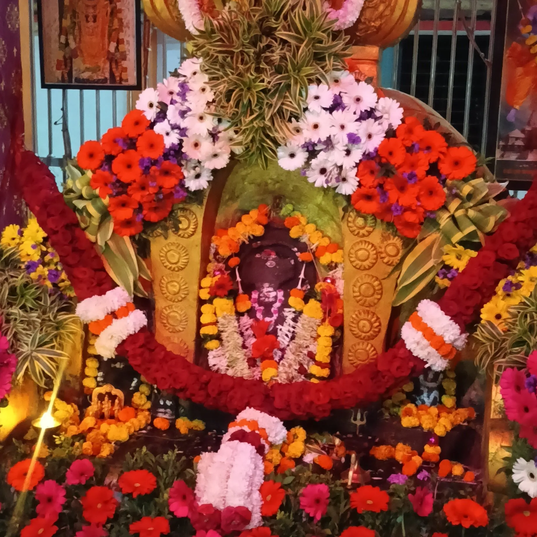 Somnath Chougule