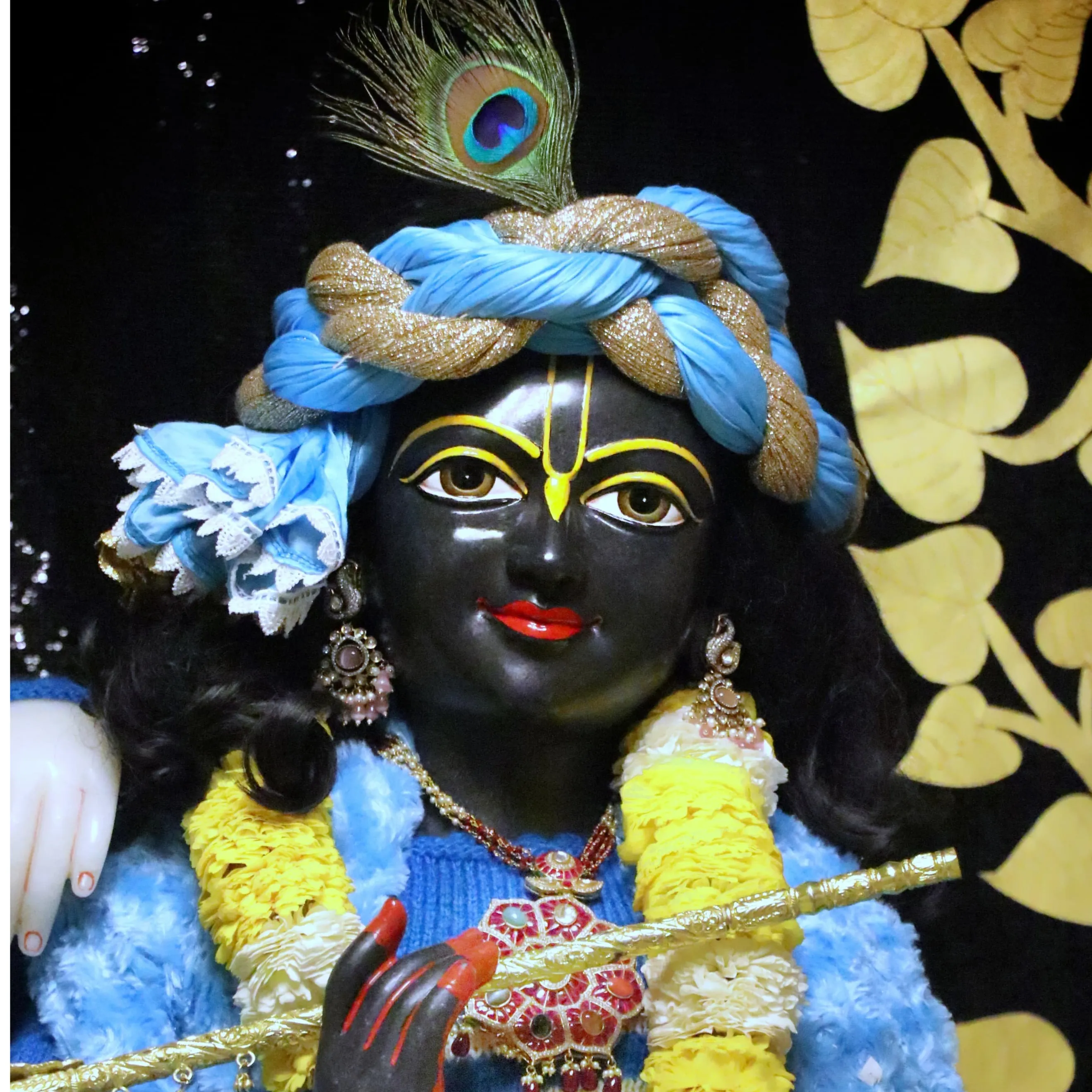 Nareshi Meena