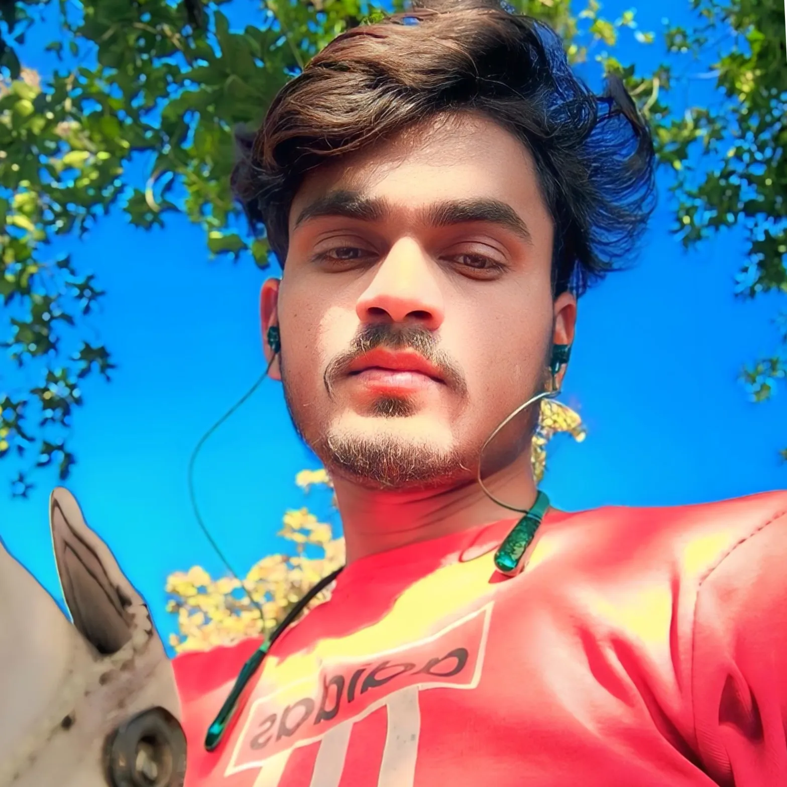 shubham solankiboy