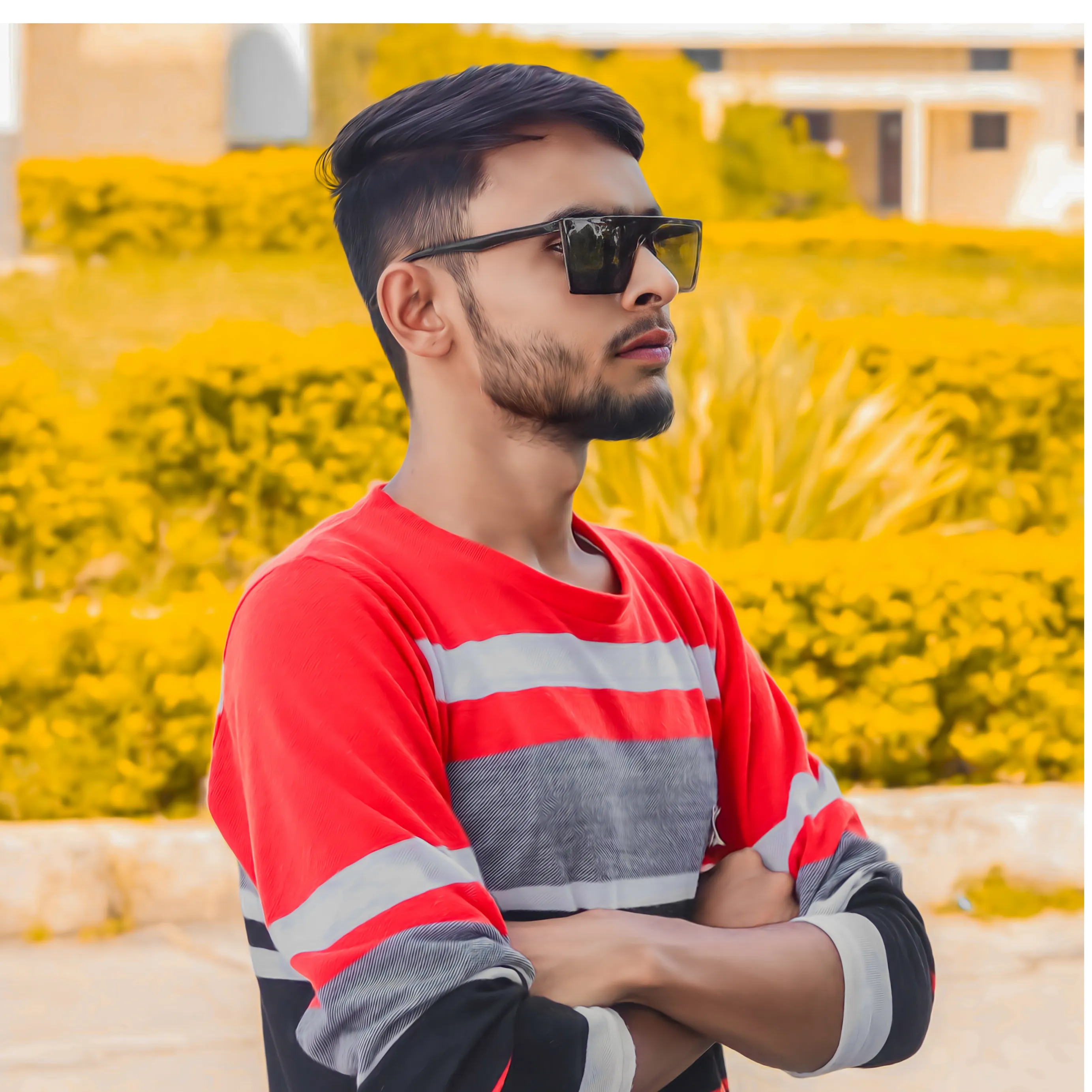 Rohit d