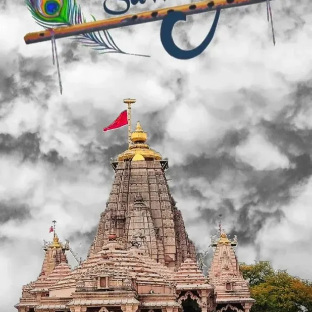 vinod maida