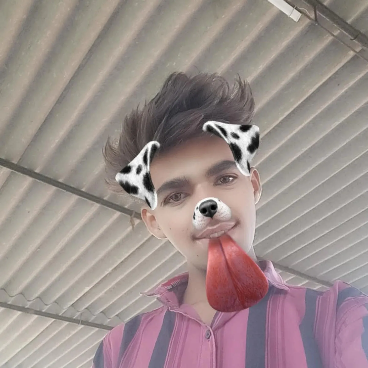 Gavu gavu