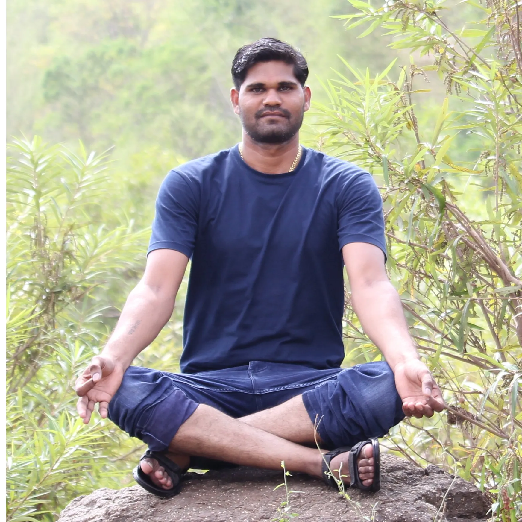 NITIN DESAI