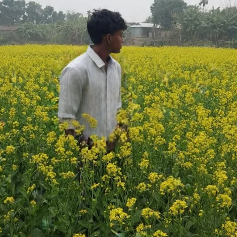 mustafizur rahman