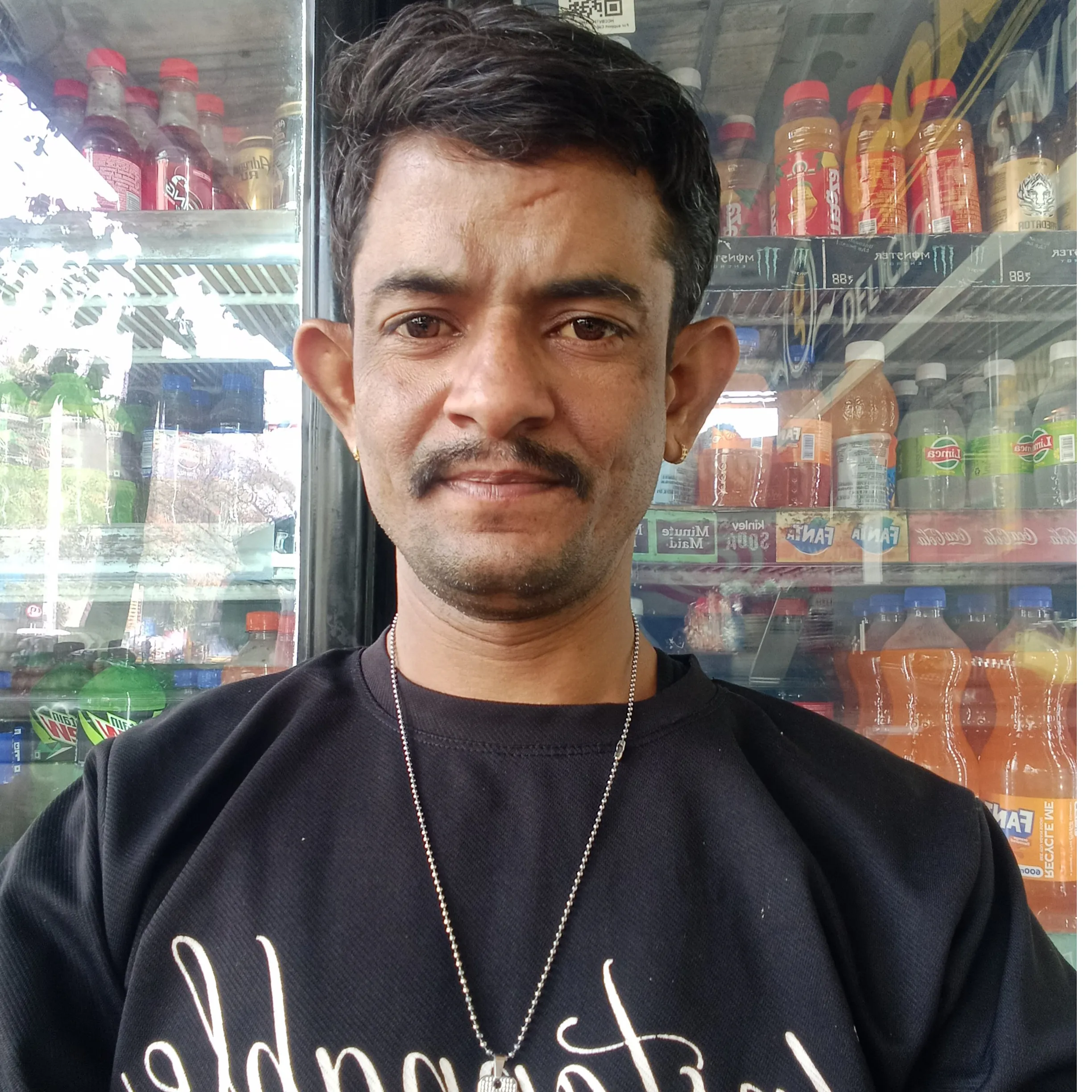 Laburam,dewasi laburam,dewasi