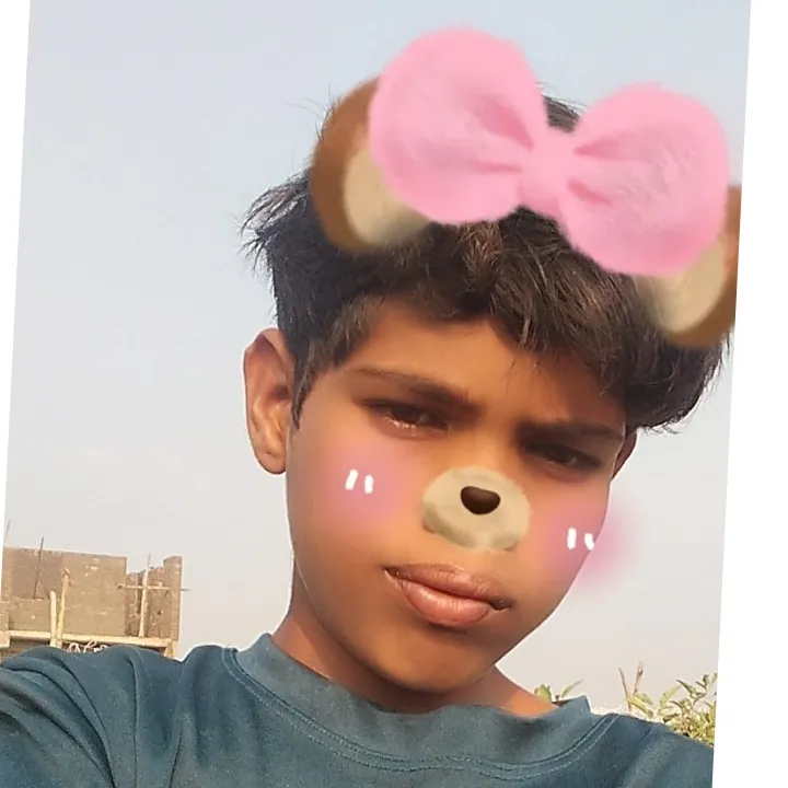 ModelAnkit Piplode