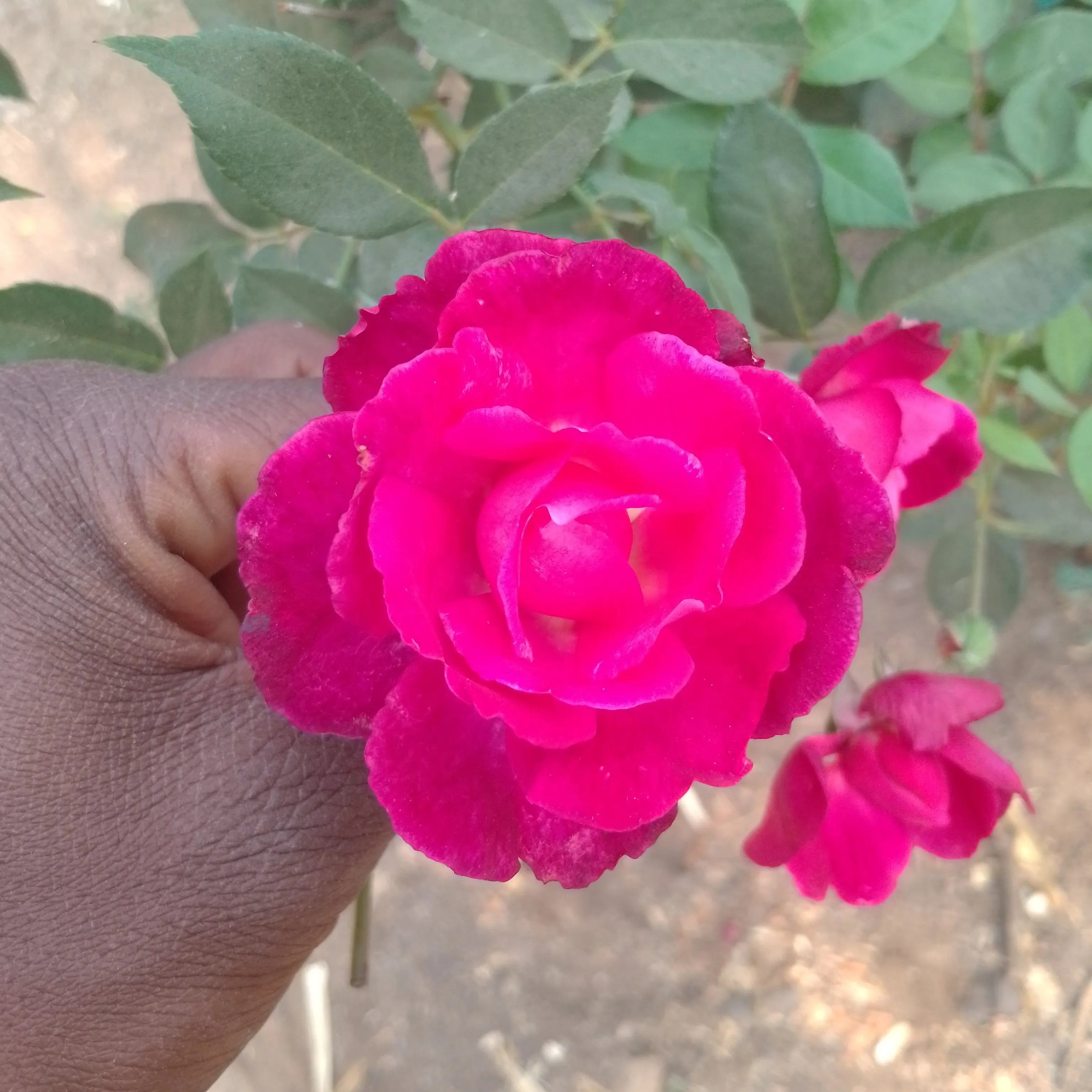 Samadhan Pawar