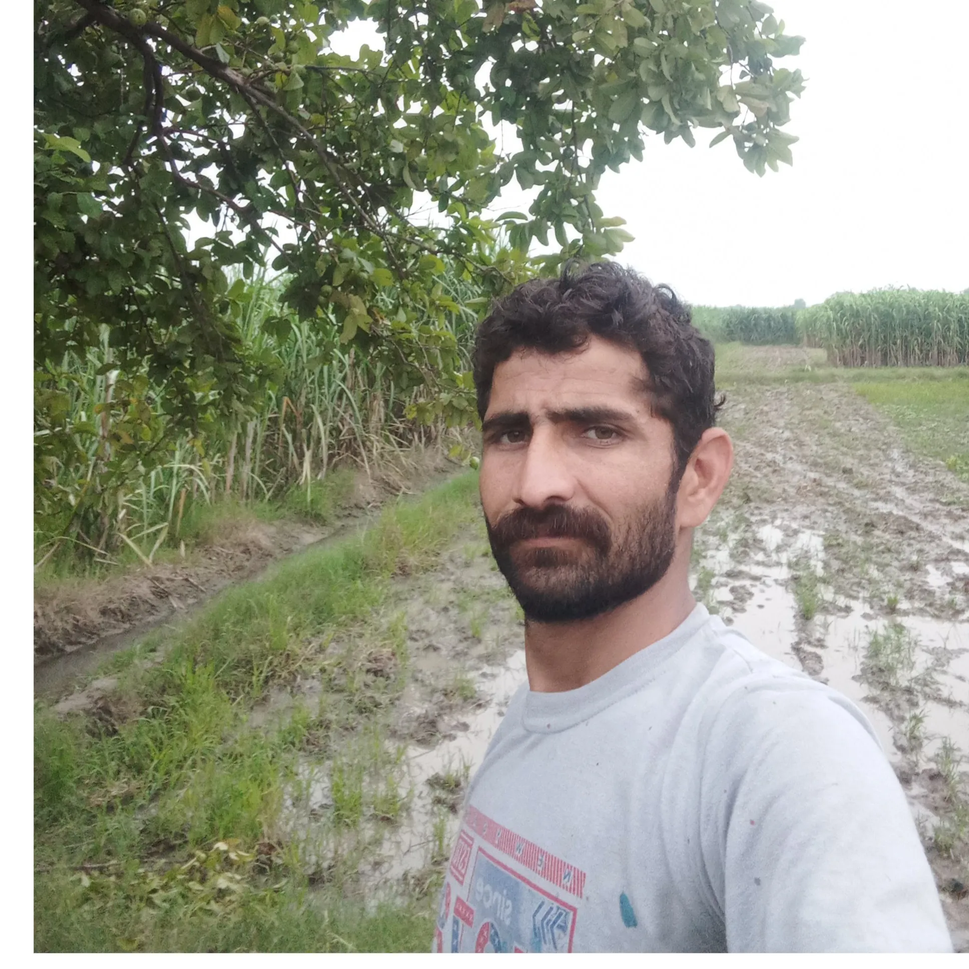 Nitinrana Nitinrana