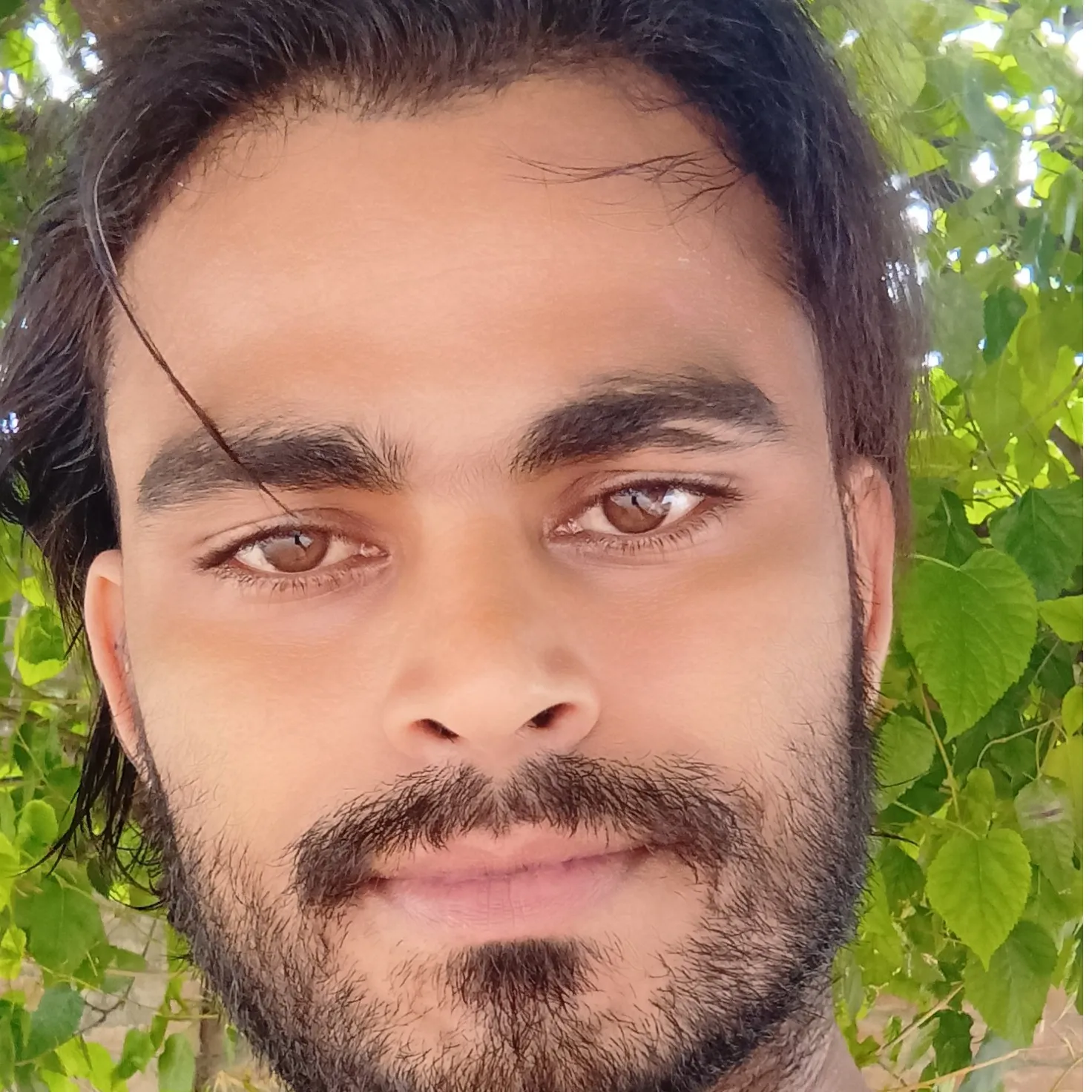 shahrukh Salmani