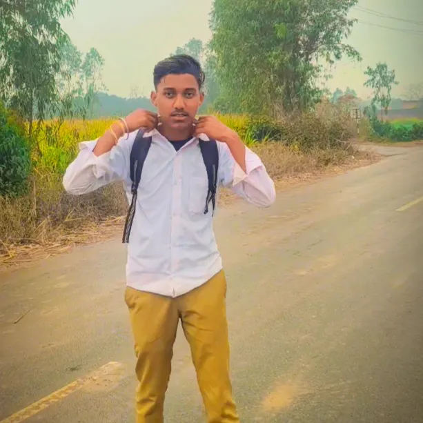 koushik pal