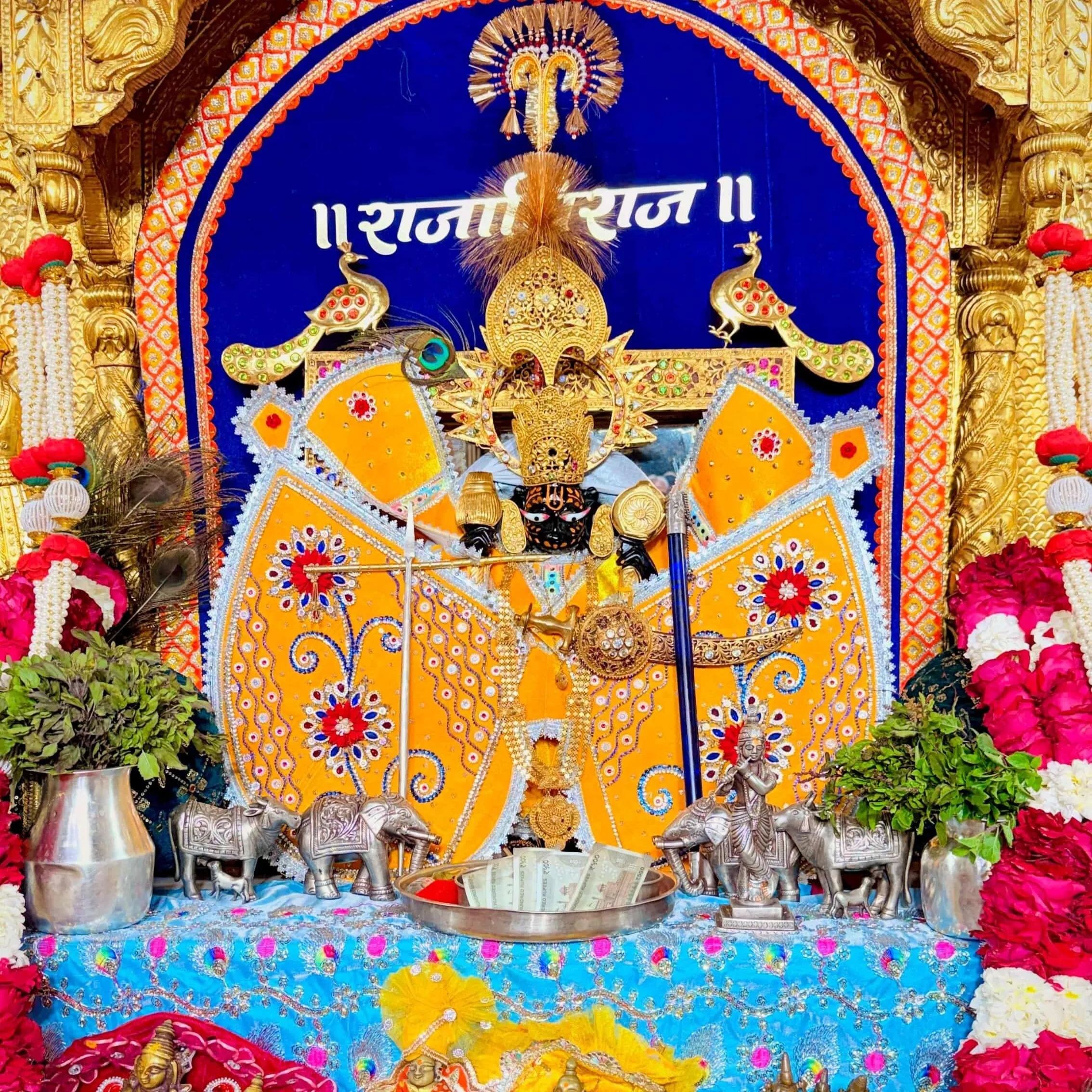 Virendarsingh Solanki