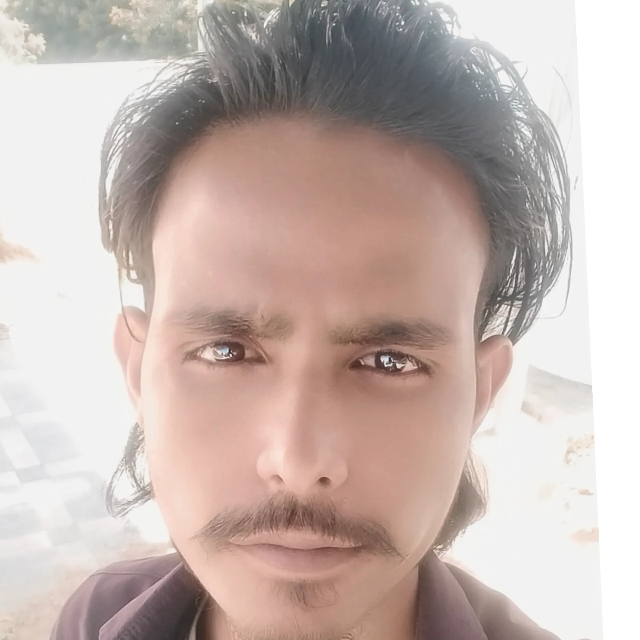 Salman Ansari