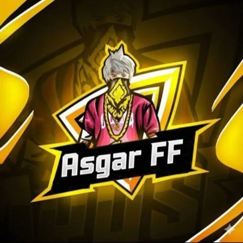 MohammadAsgar Ansari