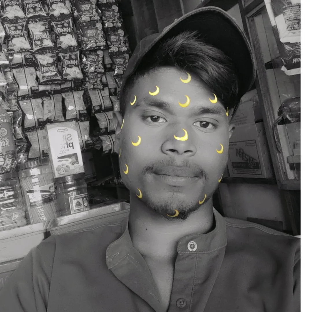 🐼 mandavi