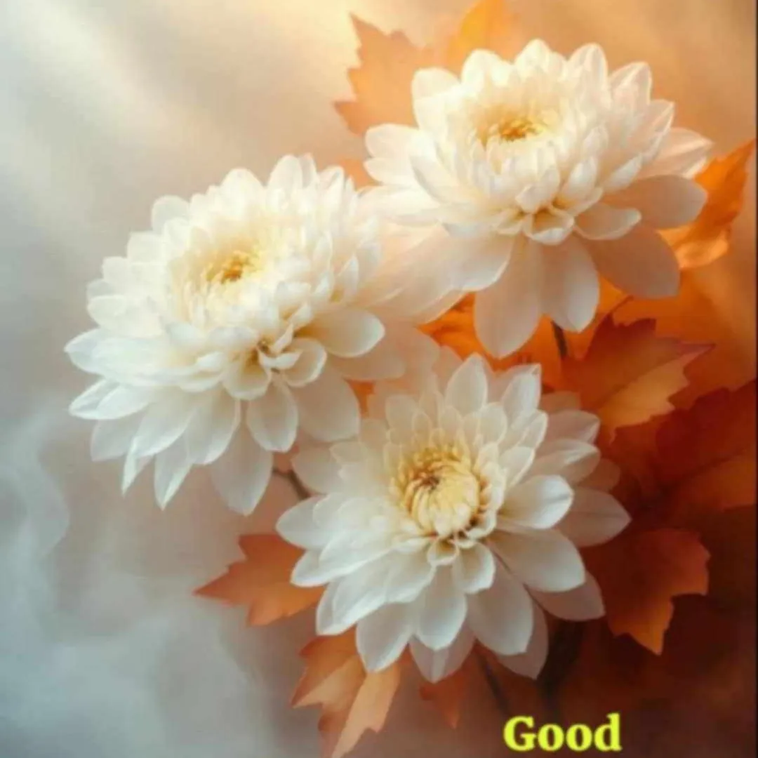 Subhash Chand