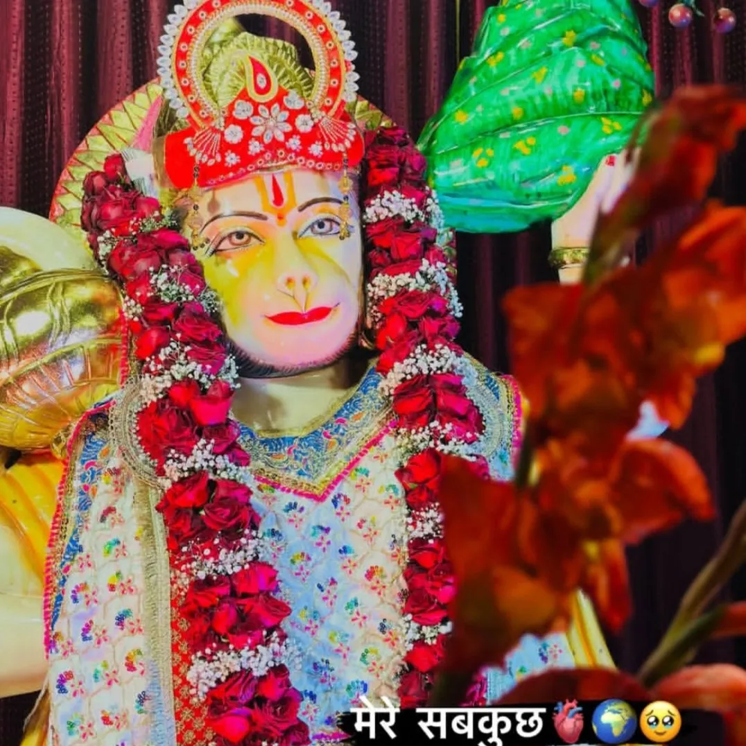 apna soni
