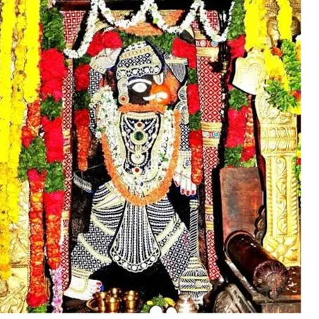 VR HAMSAVENI