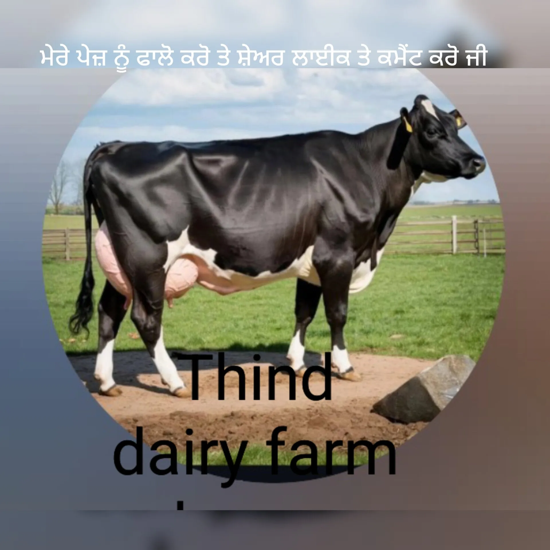 thinddariyfarm sherpur