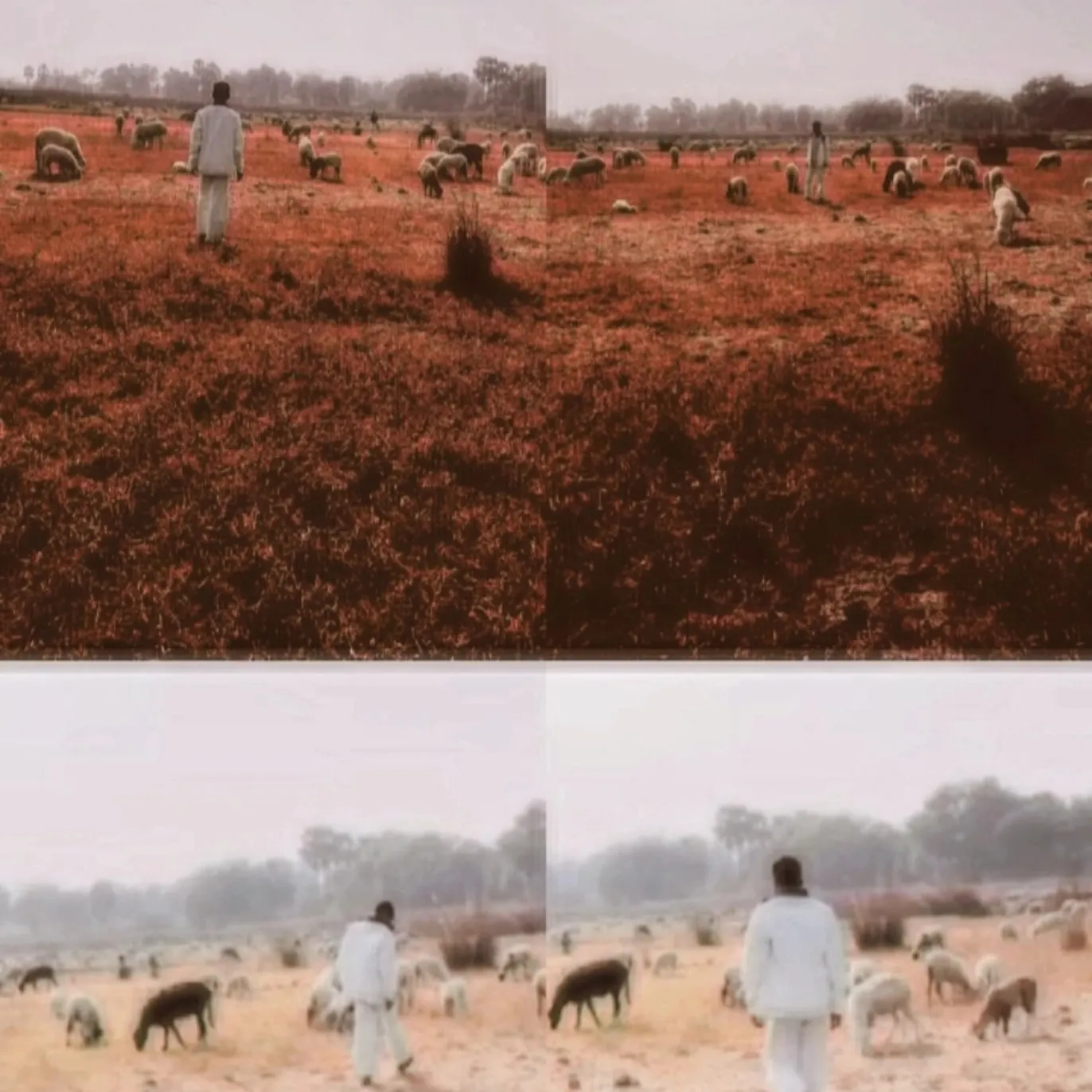 AYUSHYADAV Yadav