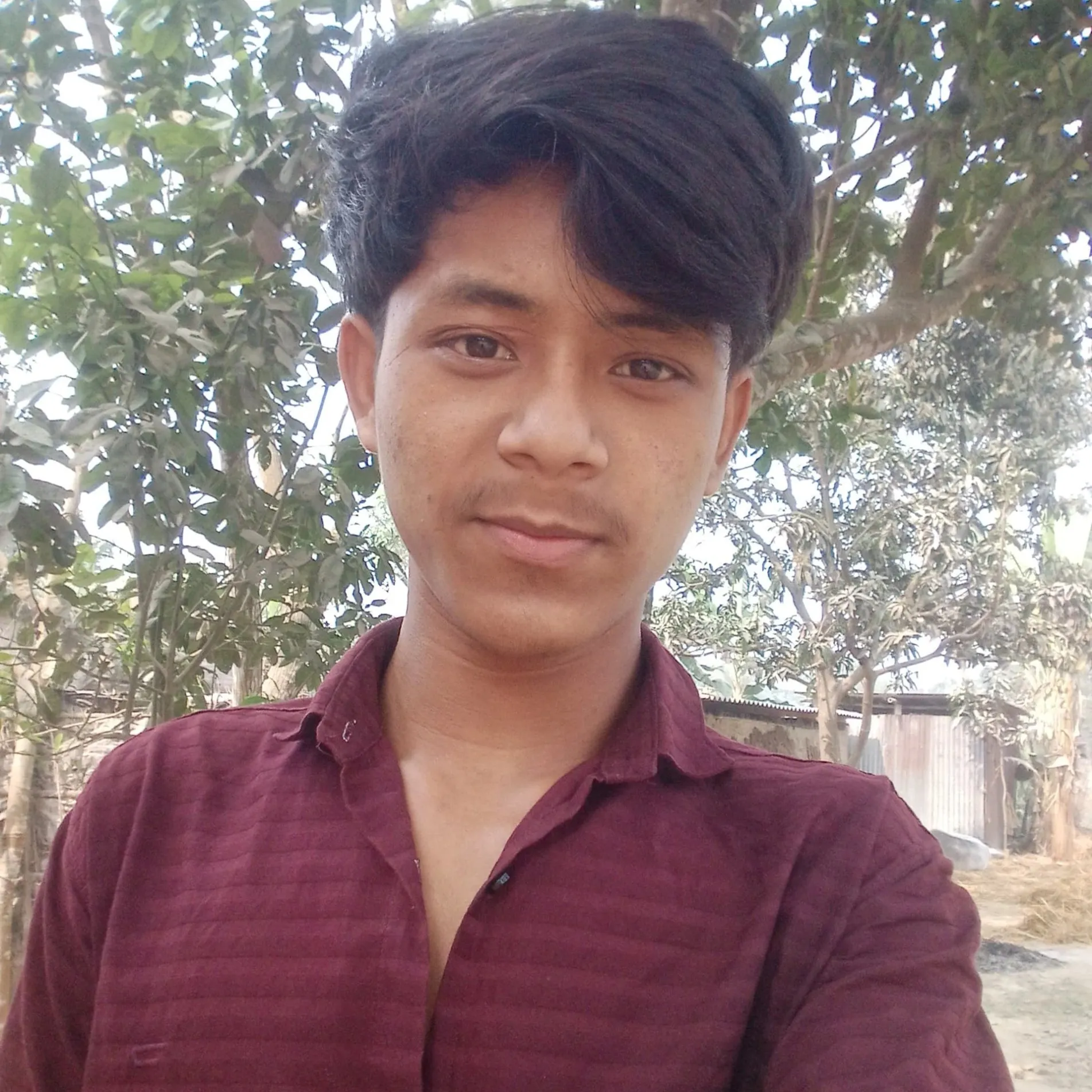 Vola Roy