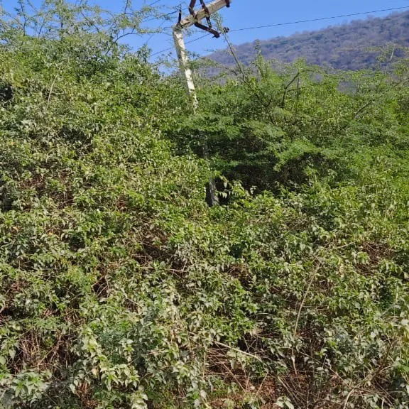 Barmalal Barmalalgurjar