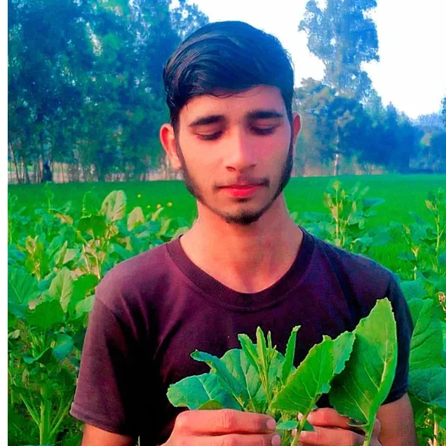 Vipin Yadav