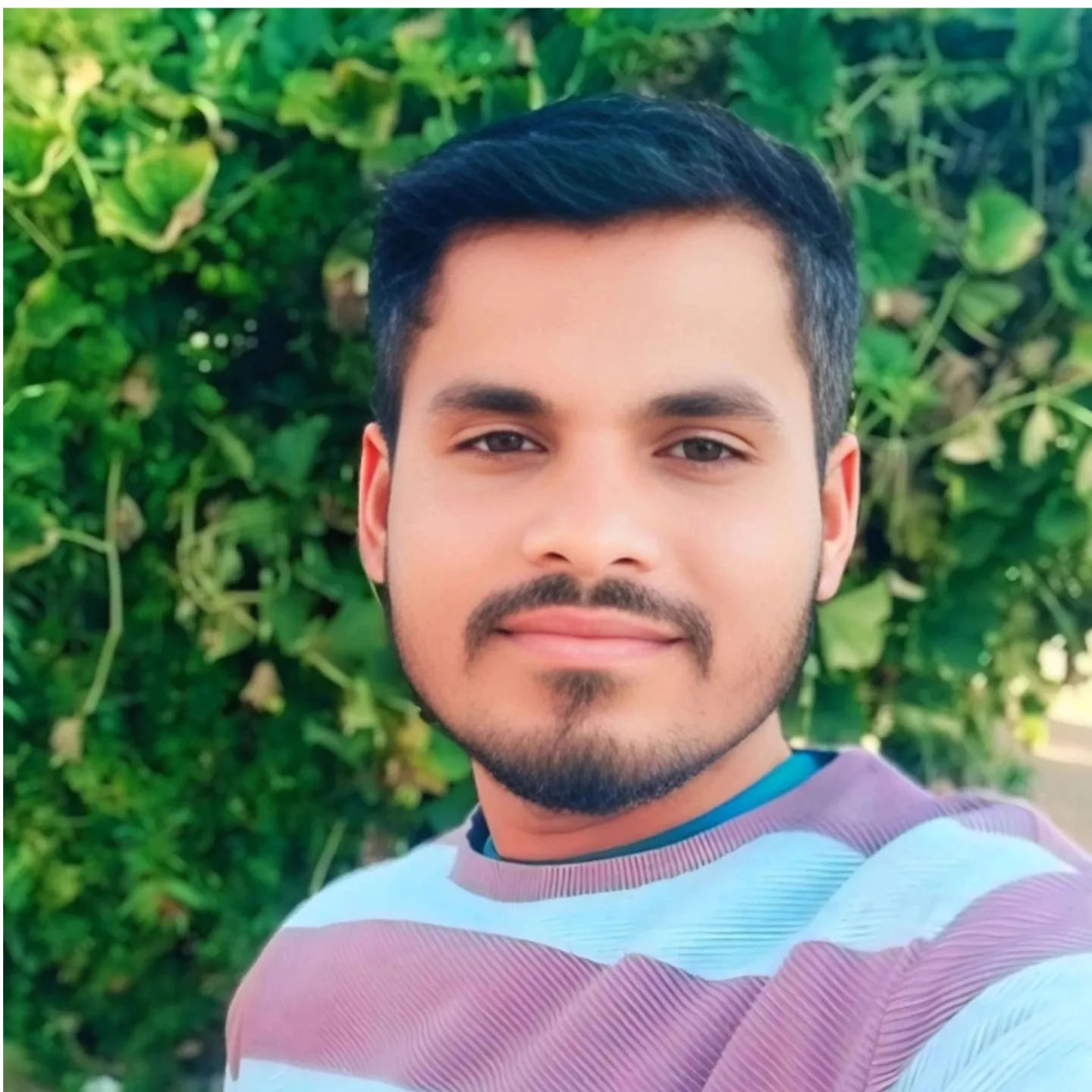 Sanju Paraste