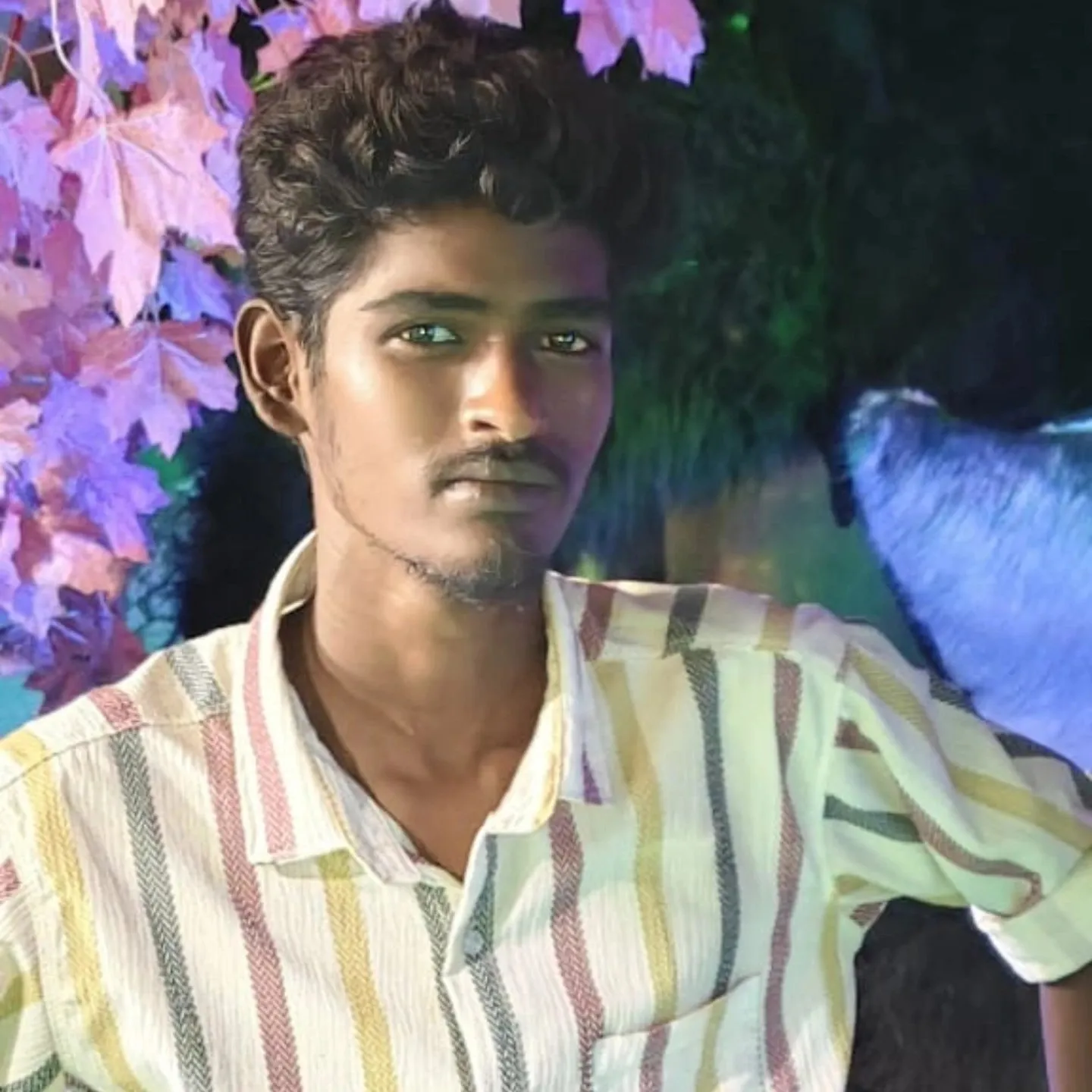 Madhan Madhan