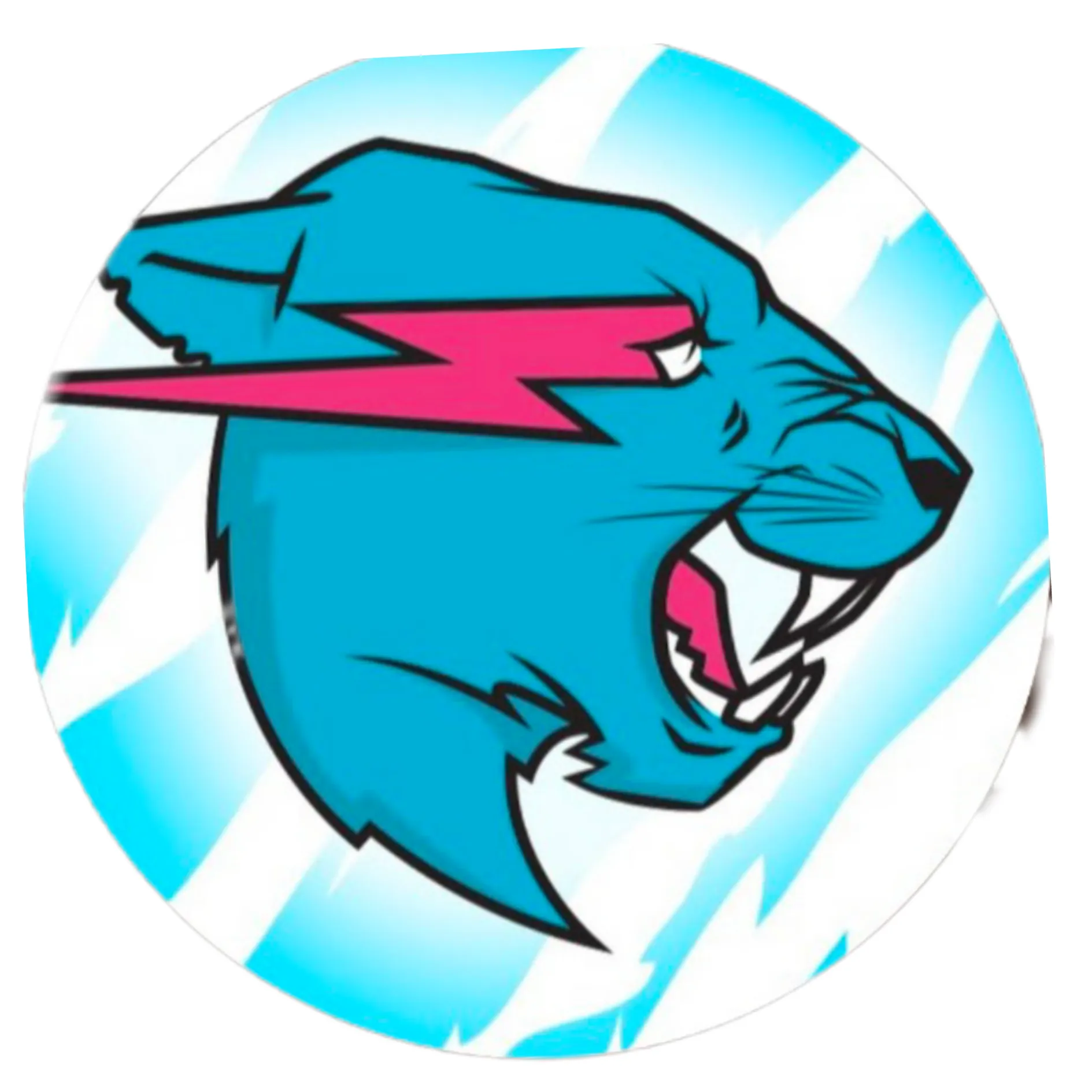 mr beast