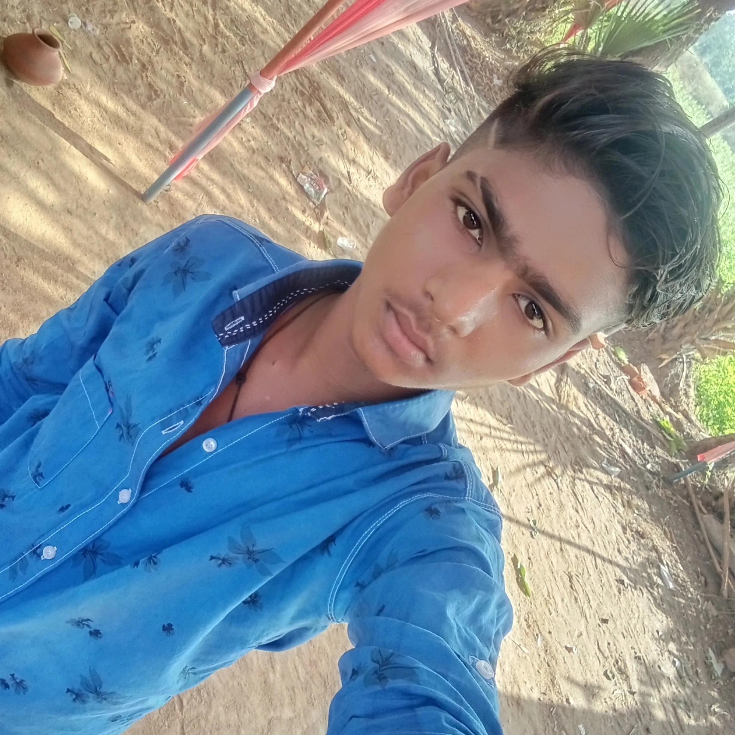 king_of_jayu king_of_jayu