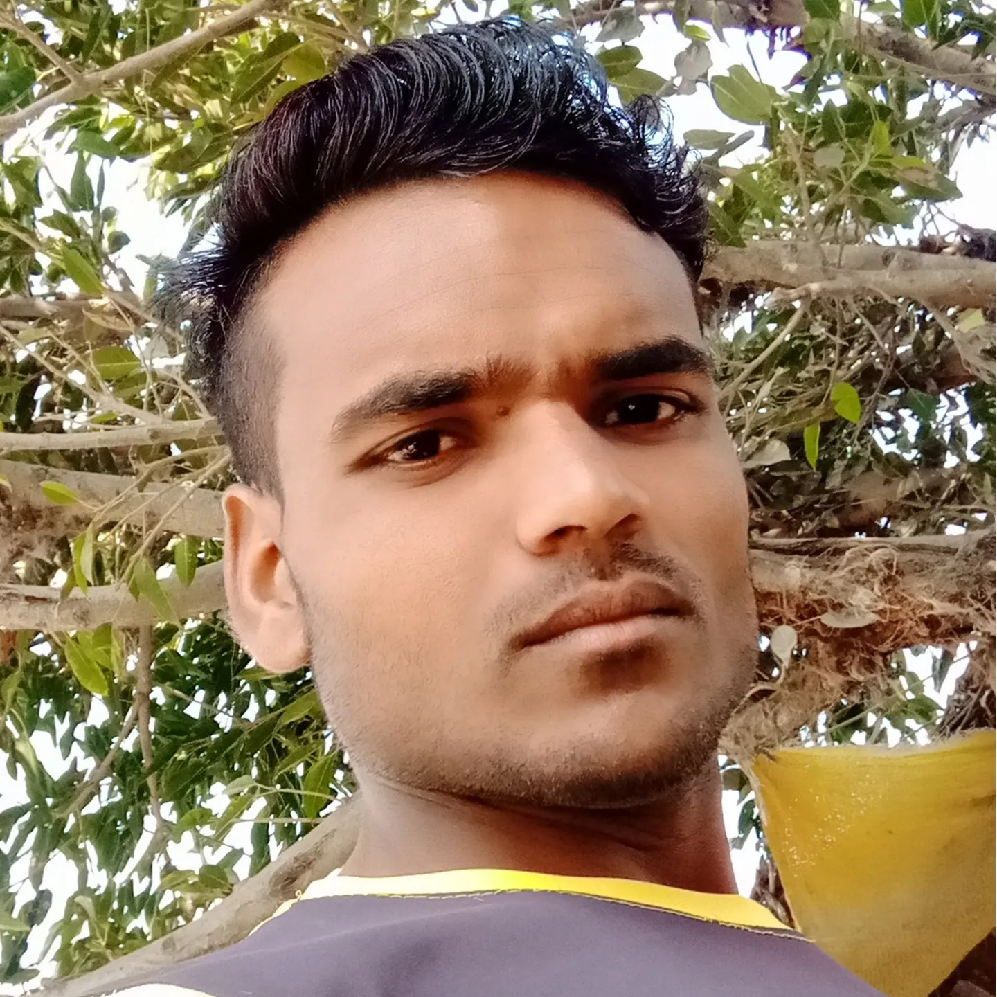 Asihb Ansari