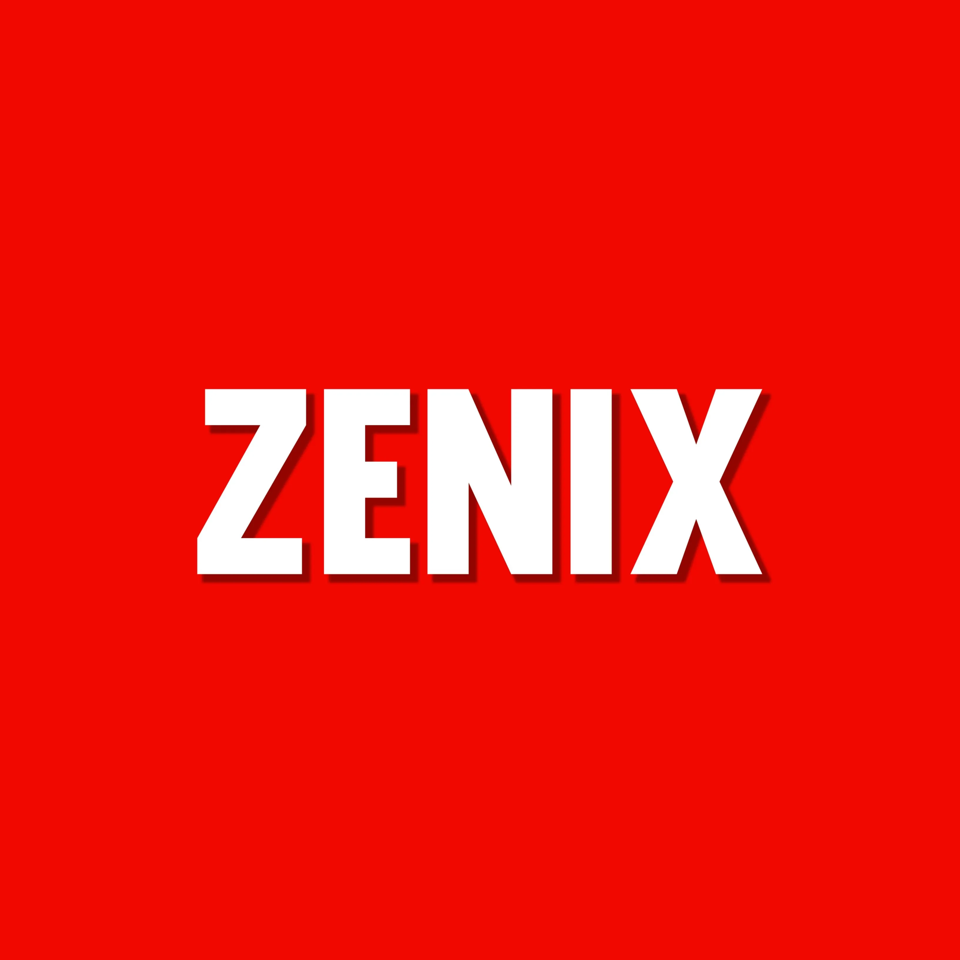 zenix store