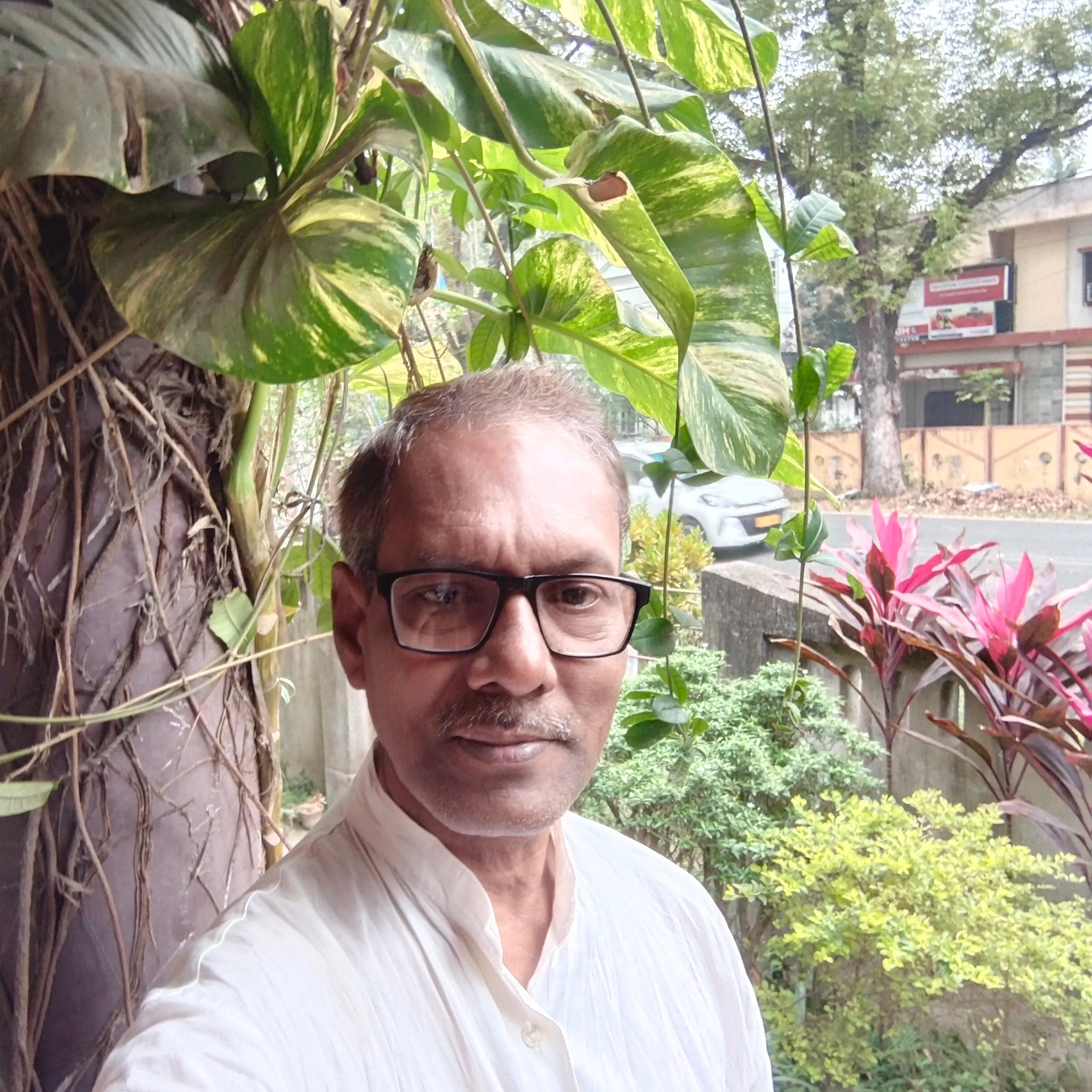 Ashis Adak