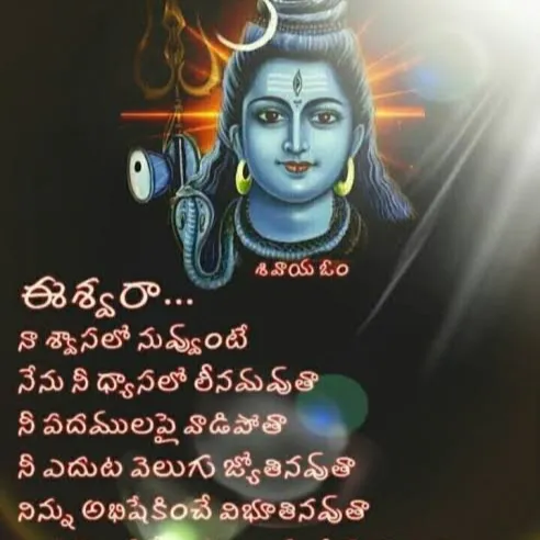 Sundara Kolla