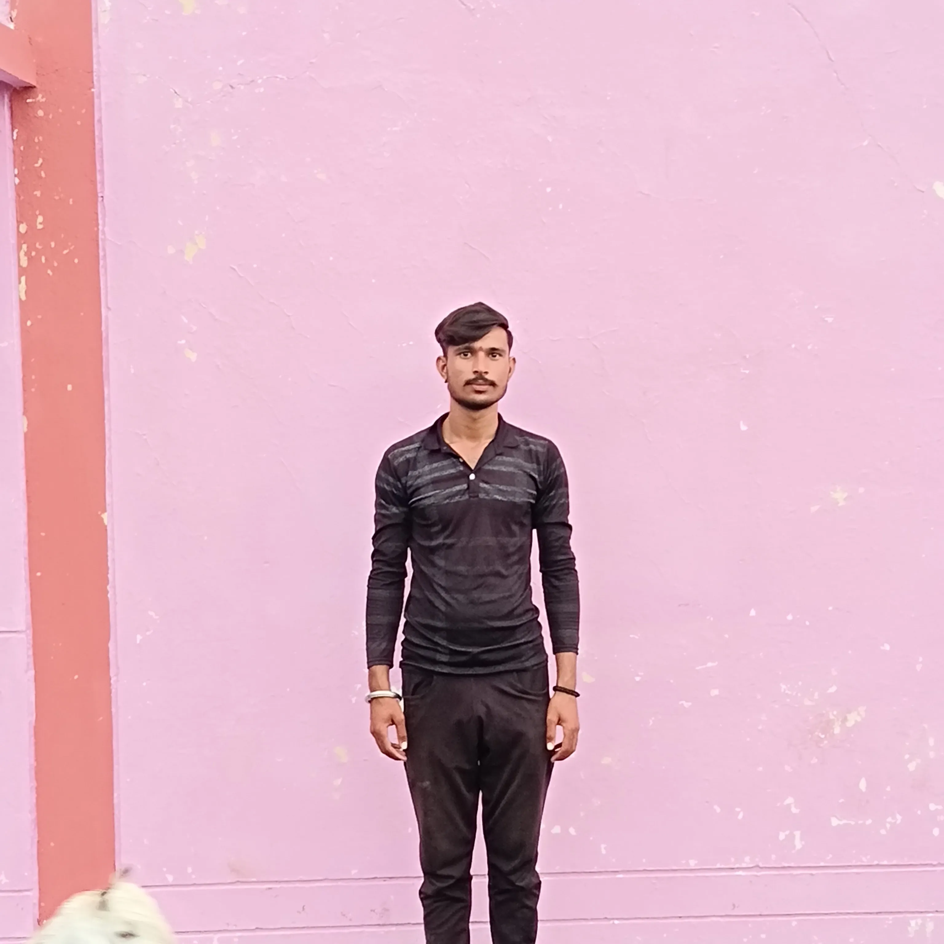 mohan mandloy